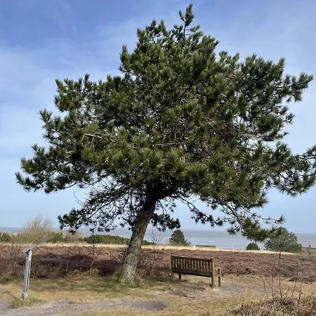 Strandgefluester Apartment Westerland